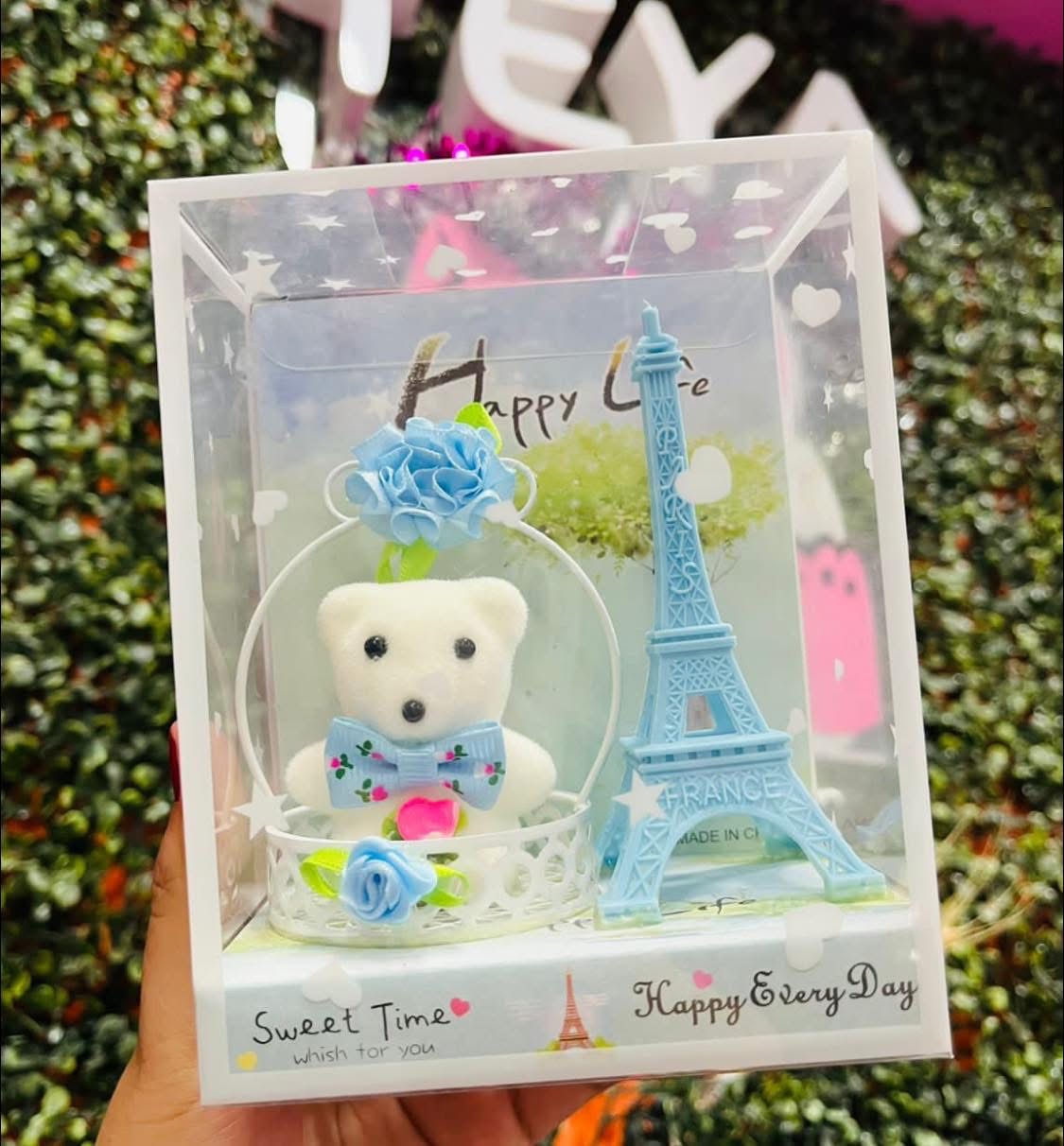 PARIS MEDO U KUTIJI